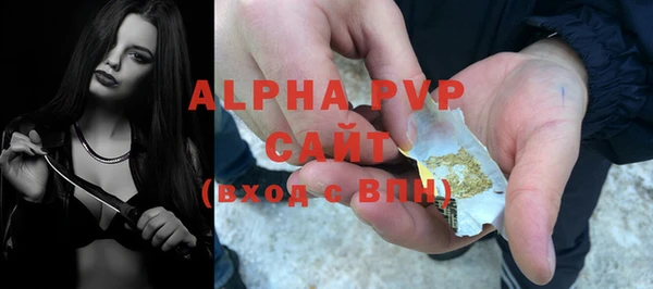 крисы Алзамай