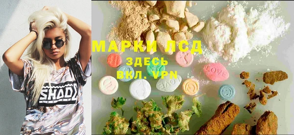 крисы Алзамай